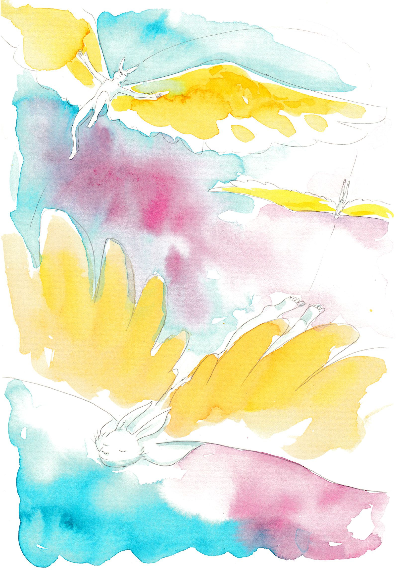 muse02