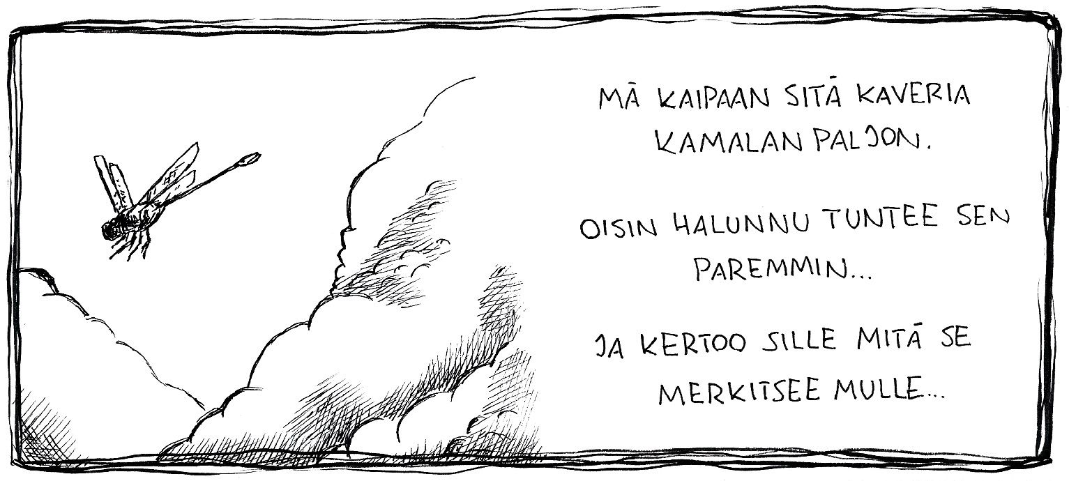 saerjis58