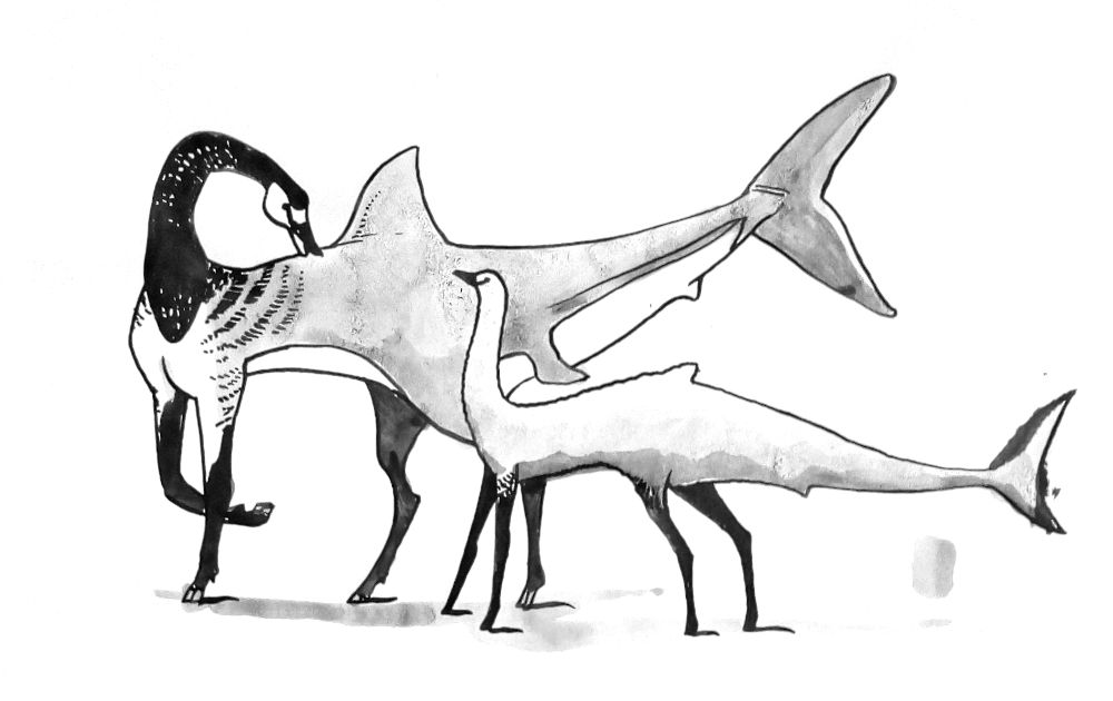 valkkari1_n