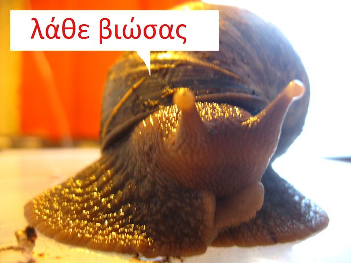 epikuros pieni 8
