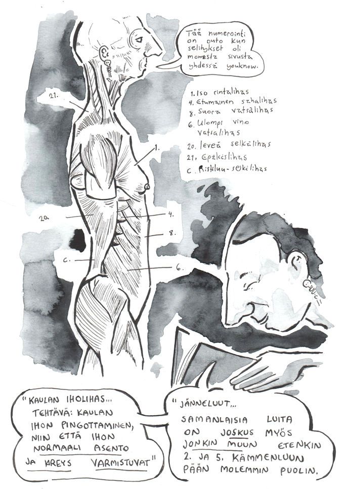 anatomia pieni viisi