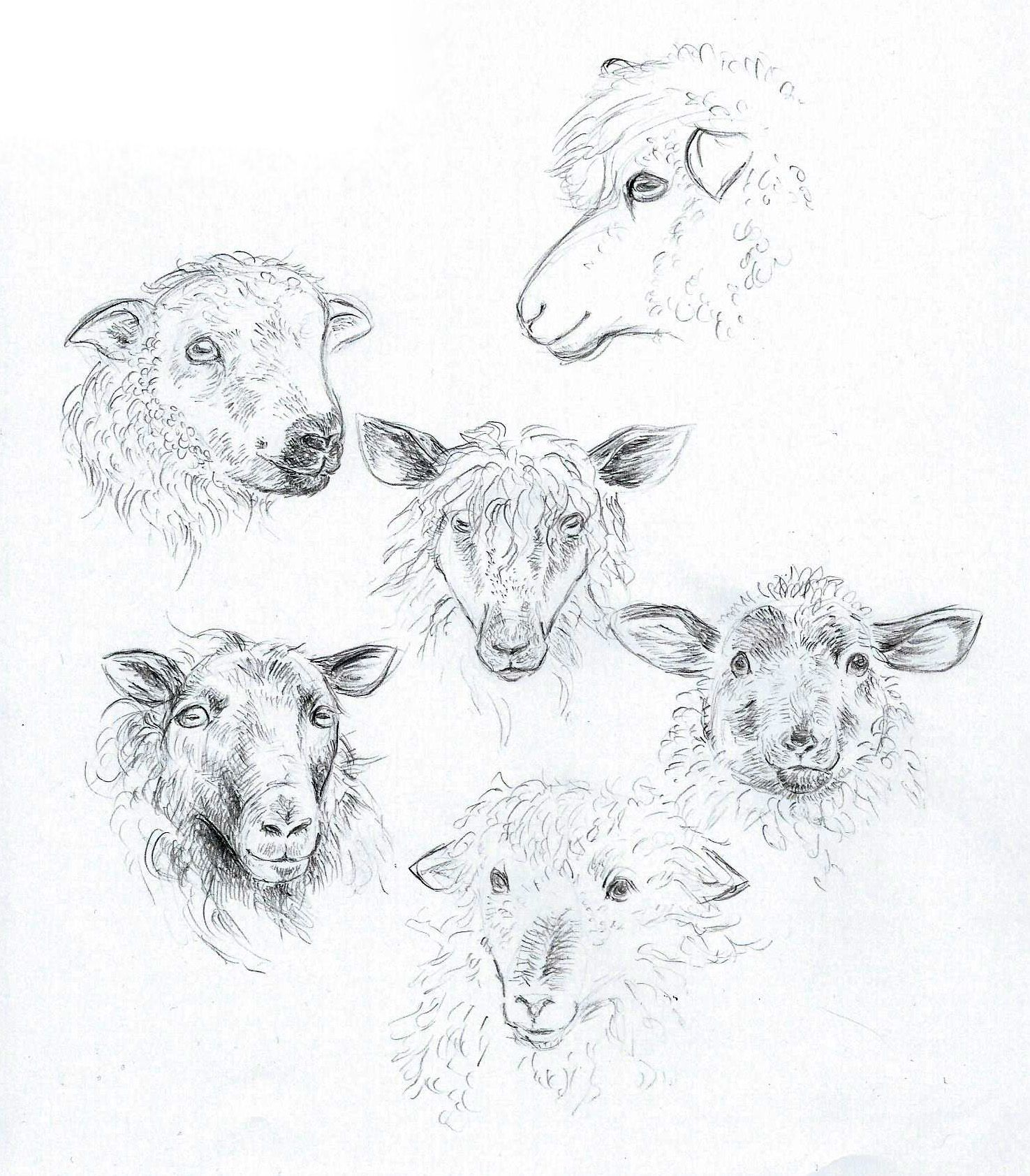 Lammas