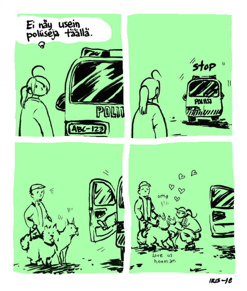 poliisi_fin
