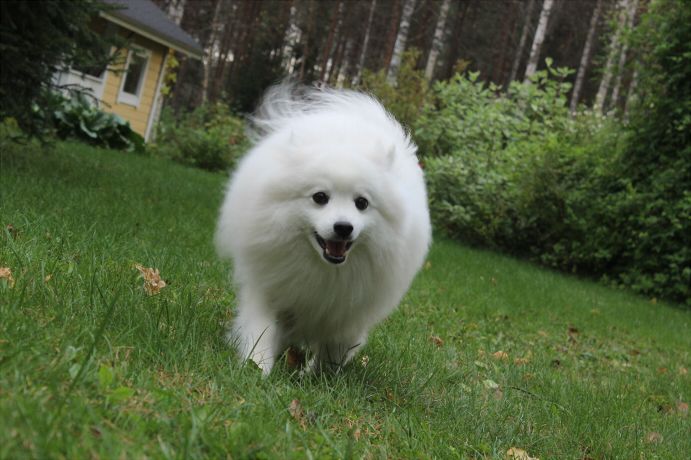yuki2