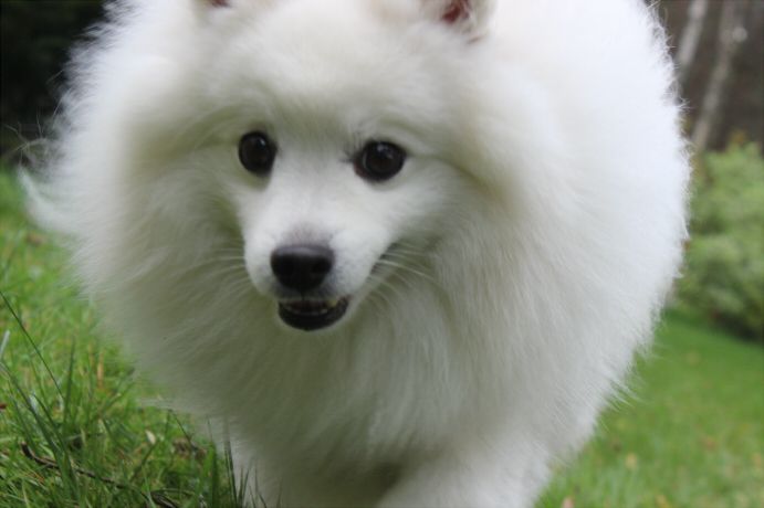 yuki3