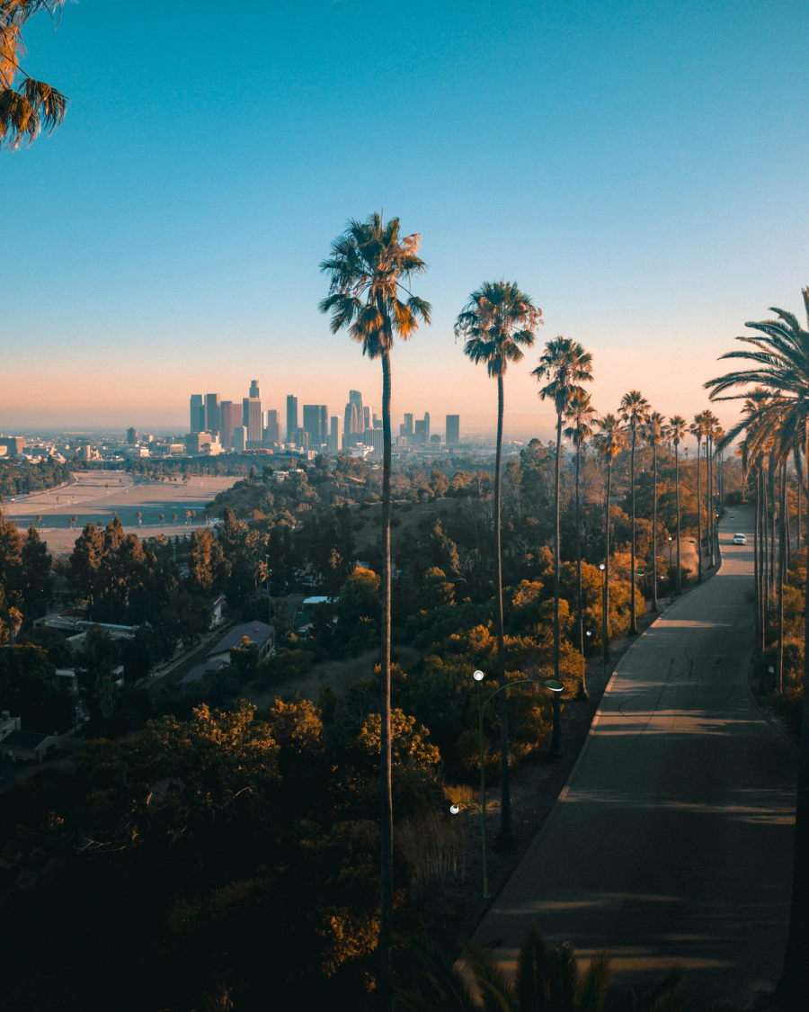 elysian-park-los-angeles-sunset-dji-mavic-pro copy
