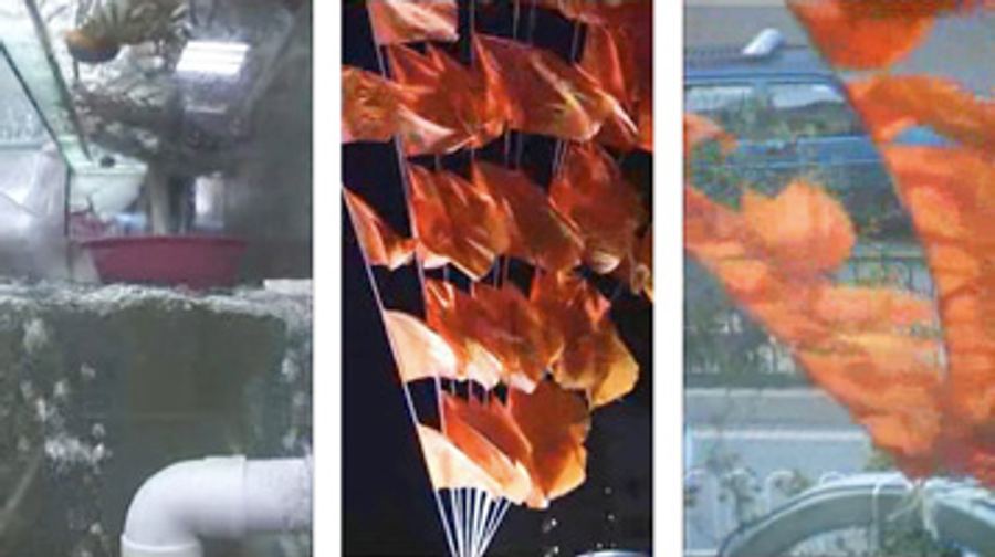 ChinaTriptych036