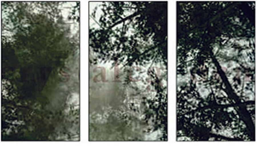 Crystal_Page_16