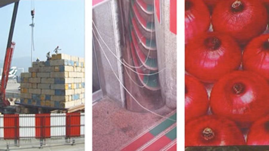 ChinaTriptych079