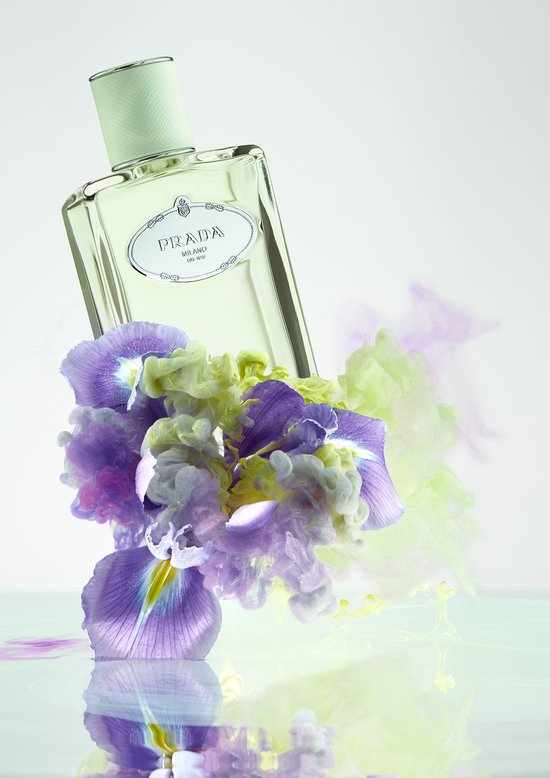 iris5294v10vert