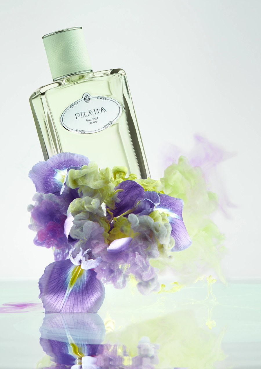 iris5294v10vert