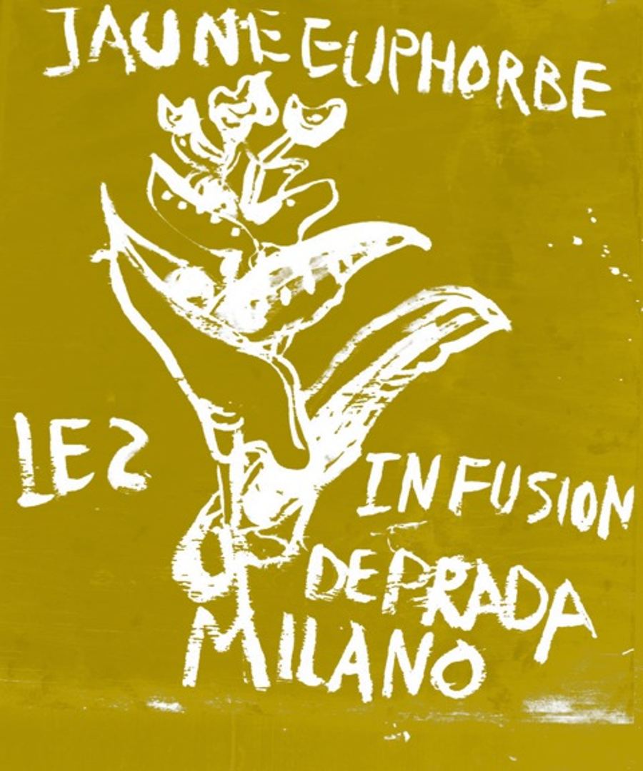 roger euphorbe