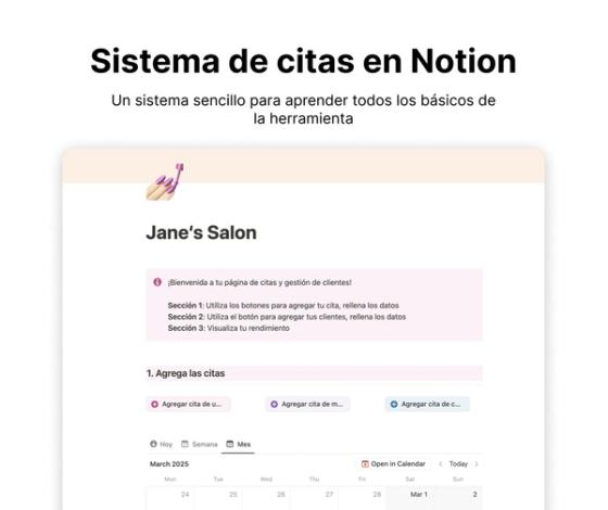Sistema de citas en Notion
