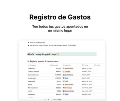 Registro de gastos