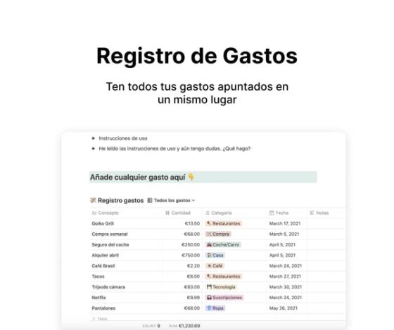 Registro de gastos