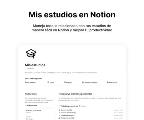 Mis estudios en Notion