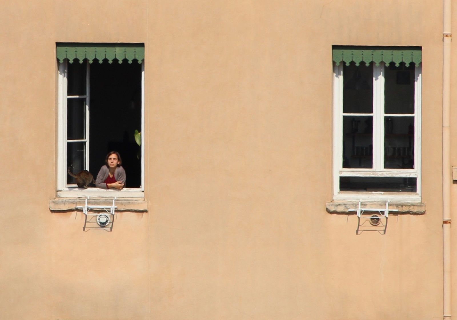An apartment facade where a woman and her cat lean out of one open window