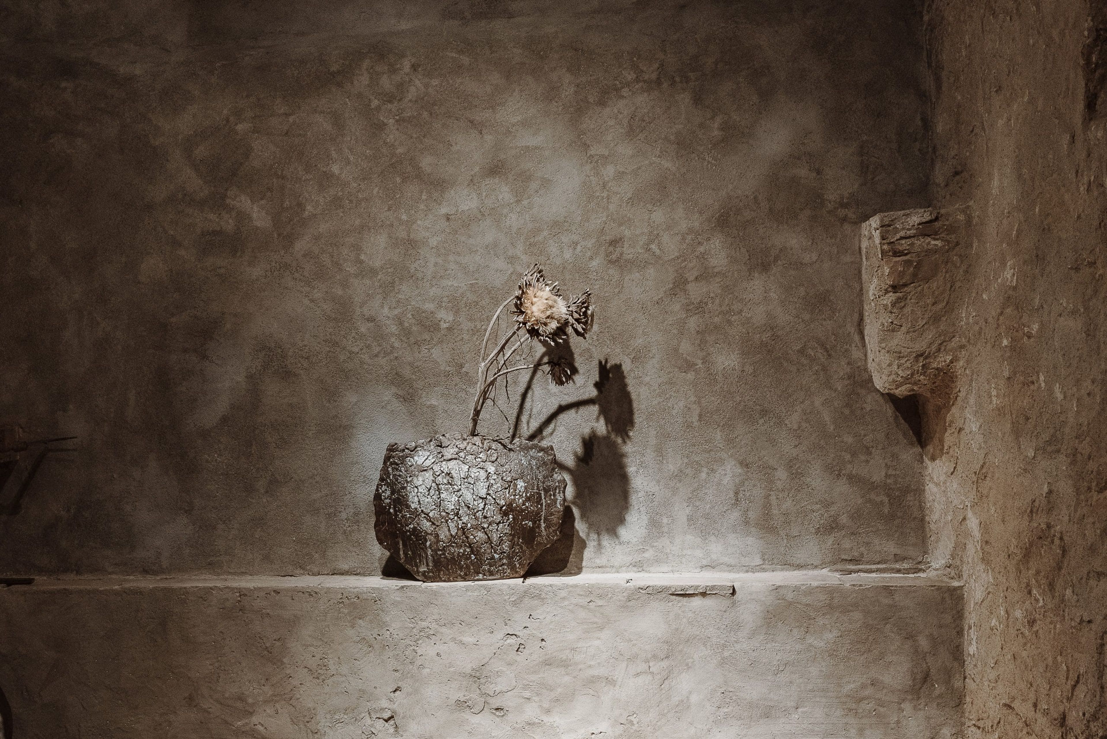 Matteo Brioni