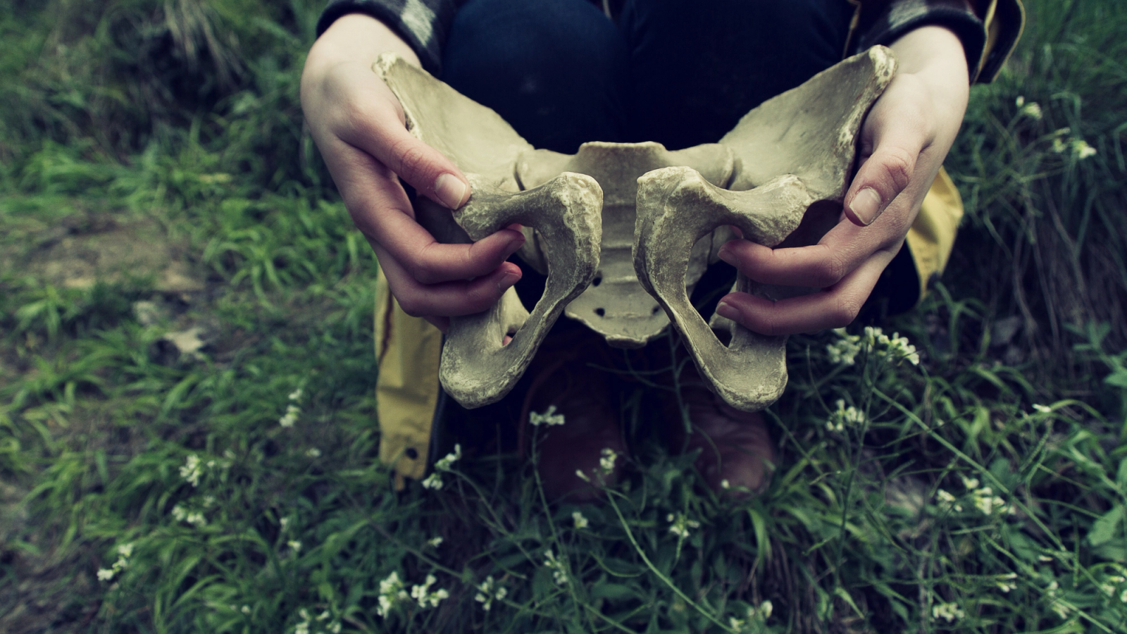 The Female Pelvic Floor – The Forgotten Zone That Can Transform Your Sex Life
