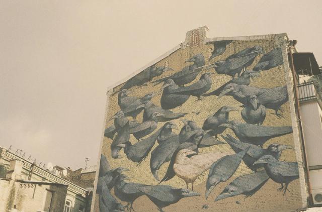 Reitarska 9. The History Of One Tsarsky Building With Ravens