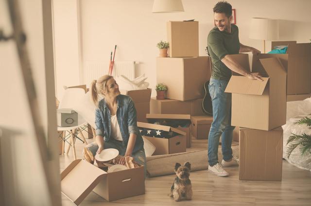 How to Furnish Your New Apartment on a Tight Budget?