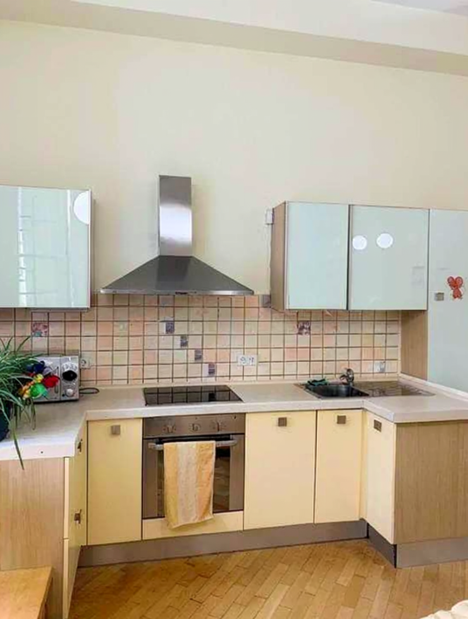 Open-plan kitchen-living room in an apartment on Arkhitektora Horodetskoho Street 10/1, Kyiv