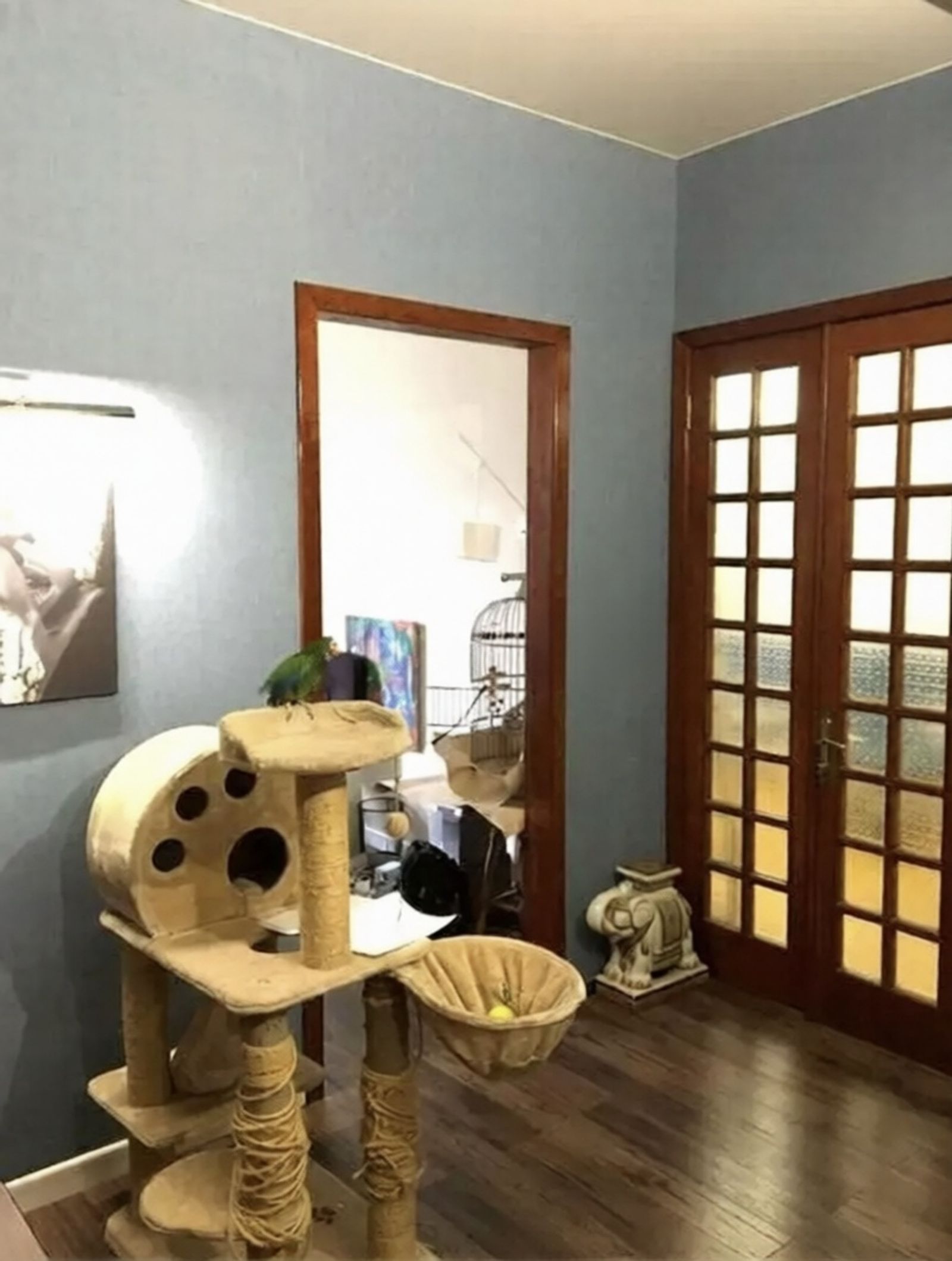 Hallway with wood floors, glass doors, and cat tree, Mykhaila Kotsiubynskoho 9, Kyiv — Vestor.Estate