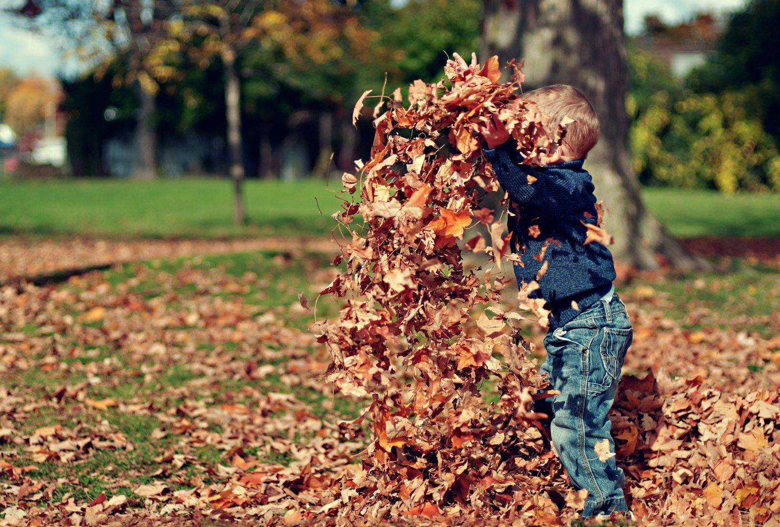 A young child playing happily with dried autumn leaves outdoors