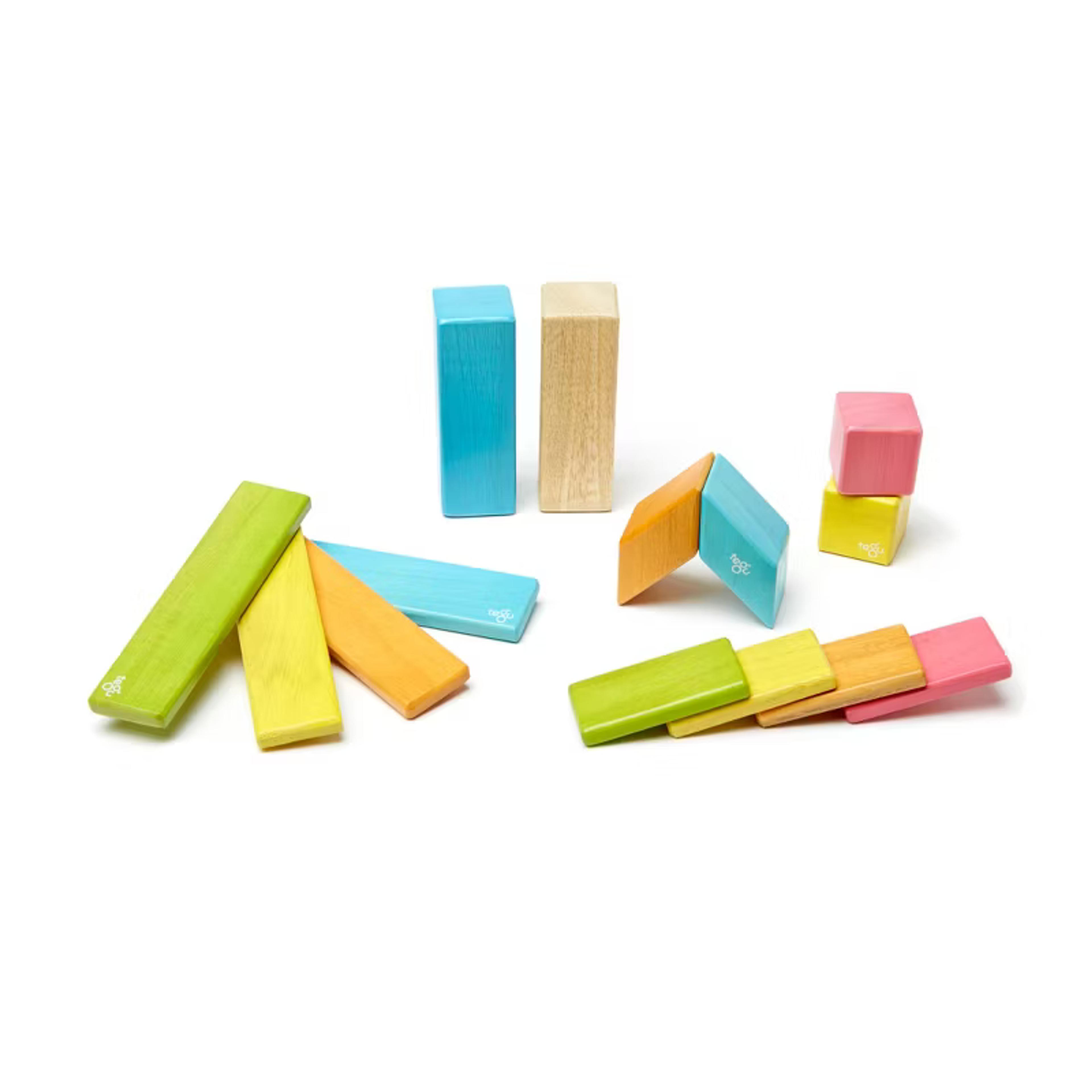 Tegu 14-Piece Magnetic Wooden Blocks set in Tints colorway