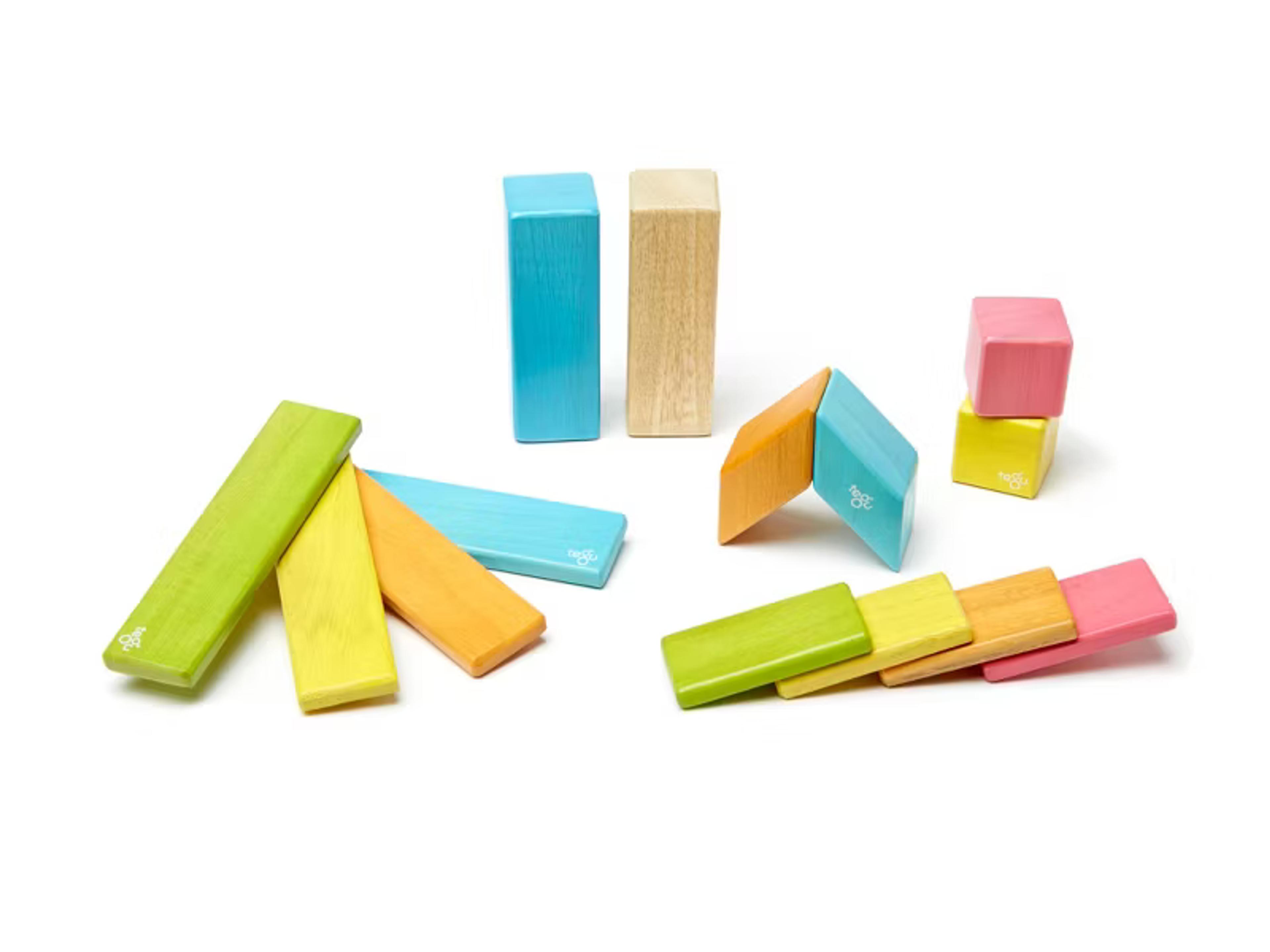 Tegu 14-Piece Magnetic Wooden Blocks set in Tints colorway