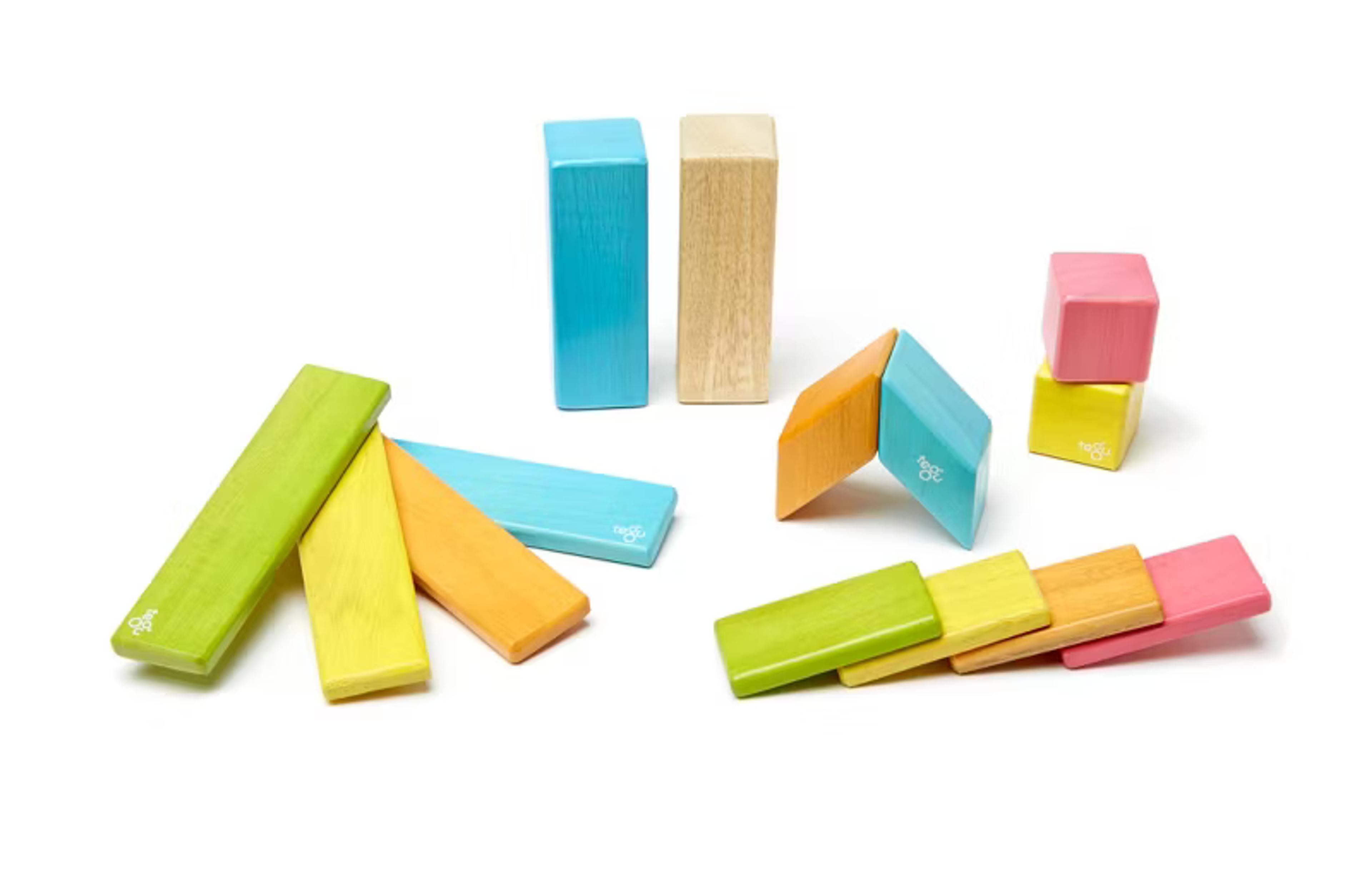 Tegu 14-Piece Magnetic Wooden Blocks set in Tints colorway