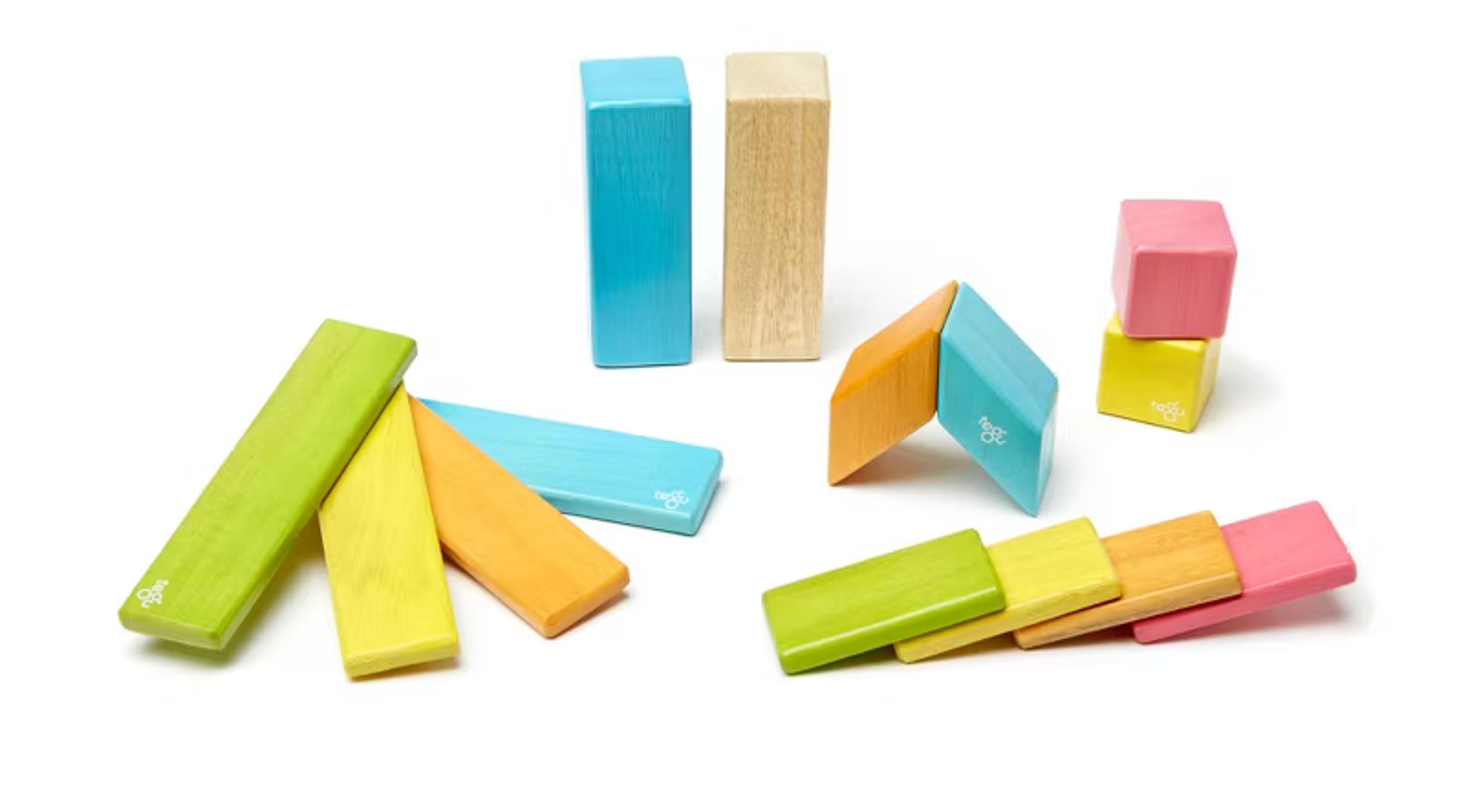 Tegu 14-Piece Magnetic Wooden Blocks set in Tints colorway