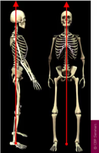 Picture4-195x300.png