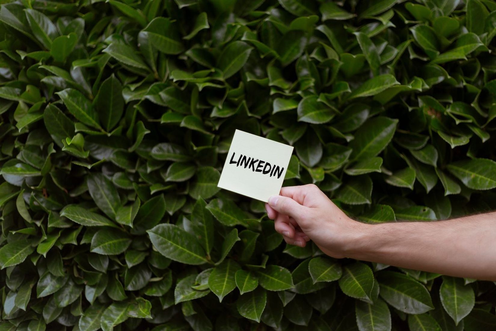 „LinkedIn" atsisako DI pagražinimo ir pristato įrašų korektūrą
