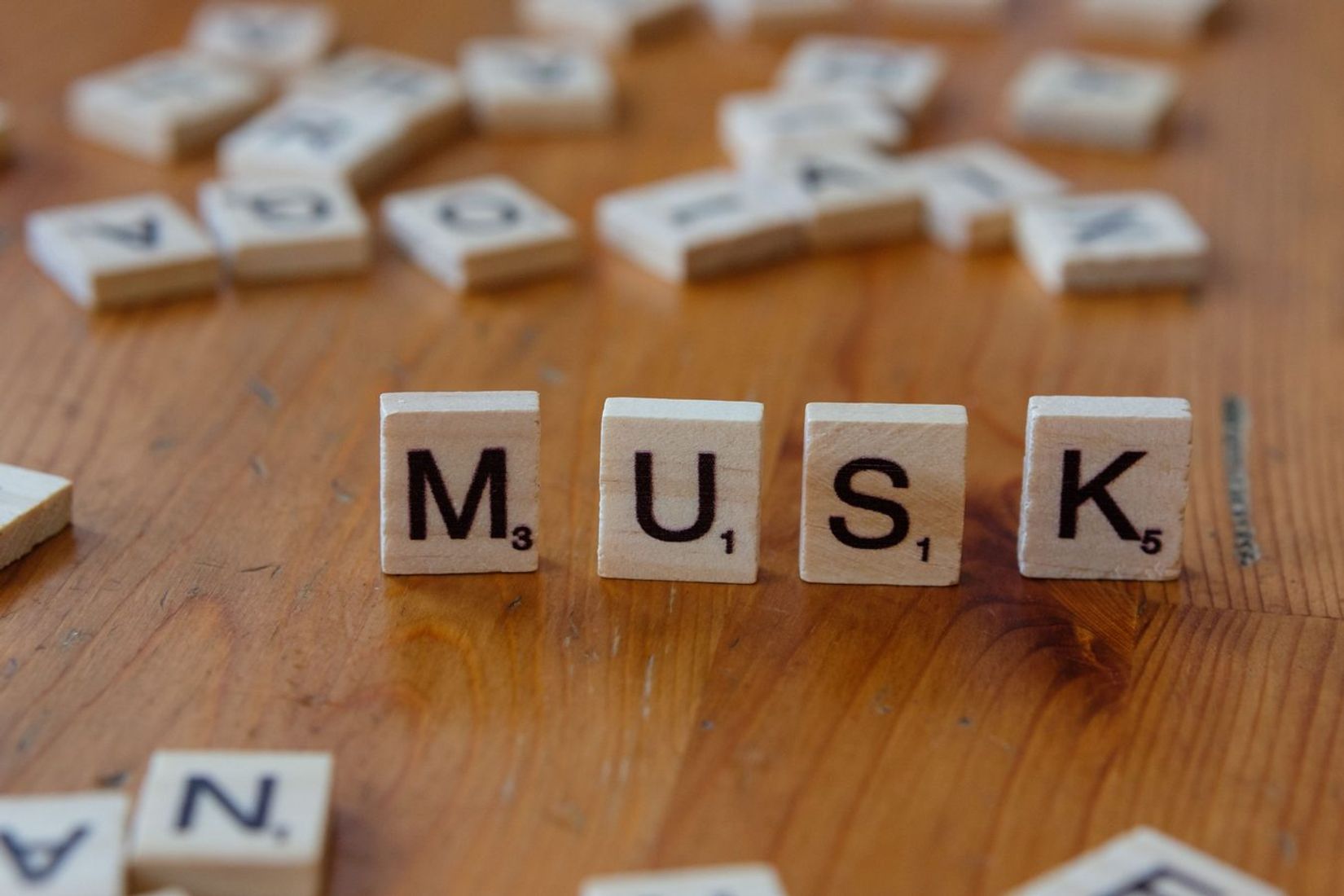Muskas svajojo apie „AI Vikipediją“, bet Grokipedia jau mėnesiais nebeatnaujinama
