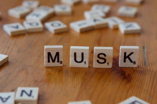 Muskas svajojo apie „AI Vikipediją“, bet Grokipedia jau mėnesiais nebeatnaujinama