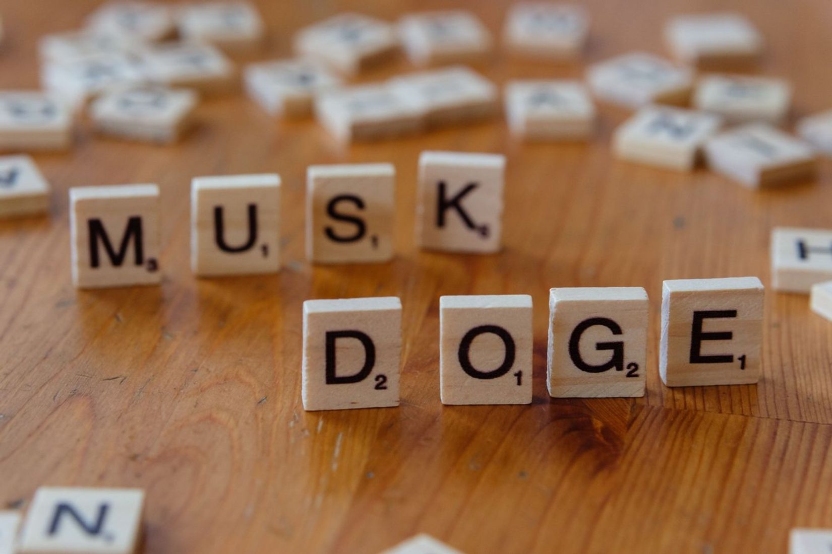 Musko „xAI" nupirko dot.com ir dabar šaiposi iš OpenAI naujienos