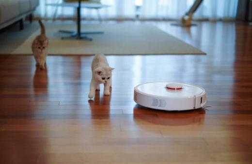 Robotų dulkių siurblių privalumai ir trūkumai: Ar verta į juos investuoti?