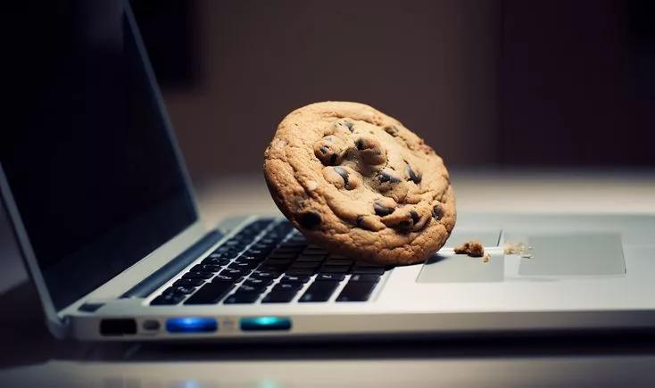Google Pulls the Plug on Cookies for Millions of People | Coinbound
