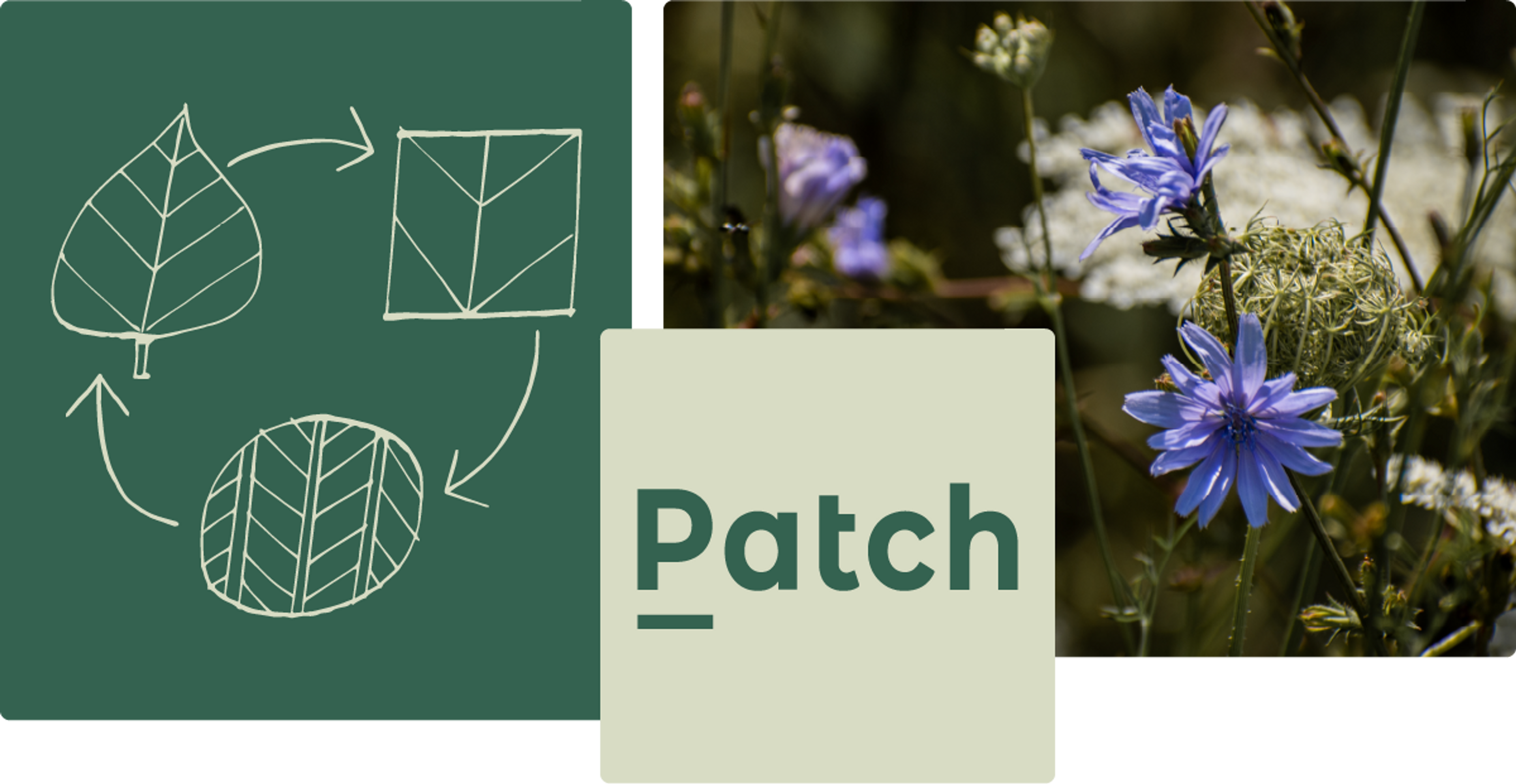 Patch Carbon Offsetting Partner