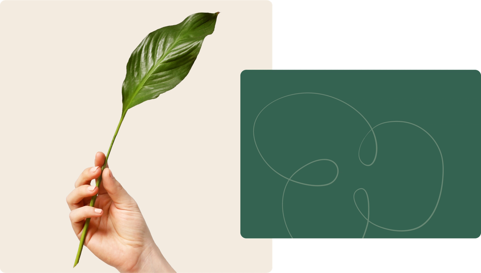 Better gifting for a better world: &Open’s 3 promises for responsible ...