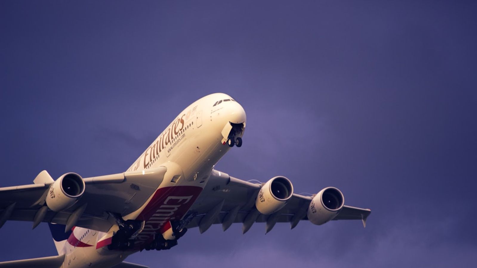 How Airlines Are Turning Planes into Flying Art Galleries