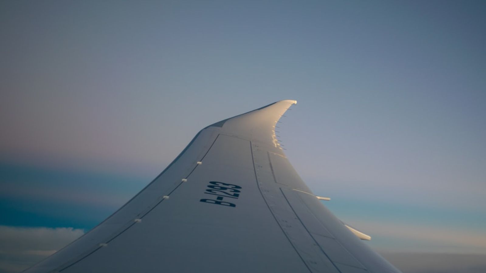 Airline Reptile Policies: Top 4 Carriers' Rules for 2025