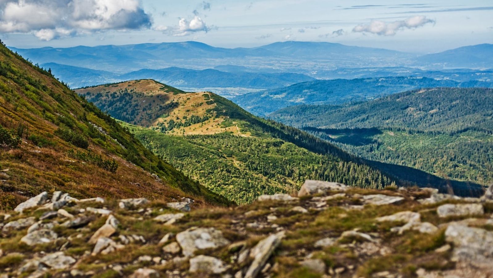 Rishikesh Mountain Biking: Ultimate Guide to Hidden Himalayan Trails