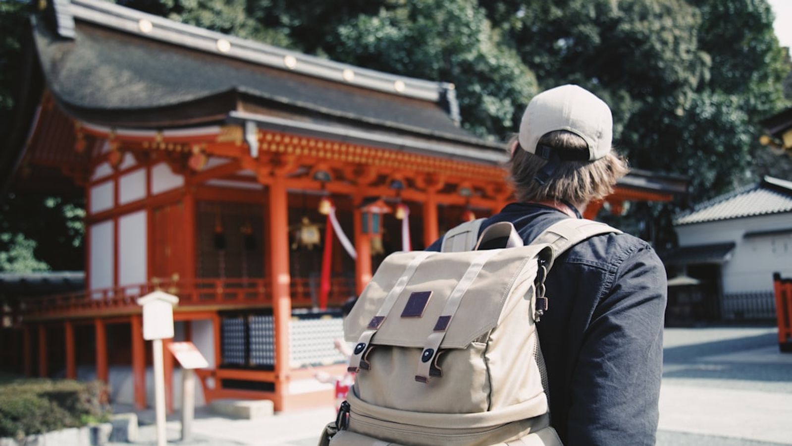Japan Tour Packages: Expert Reviews & Real Costs