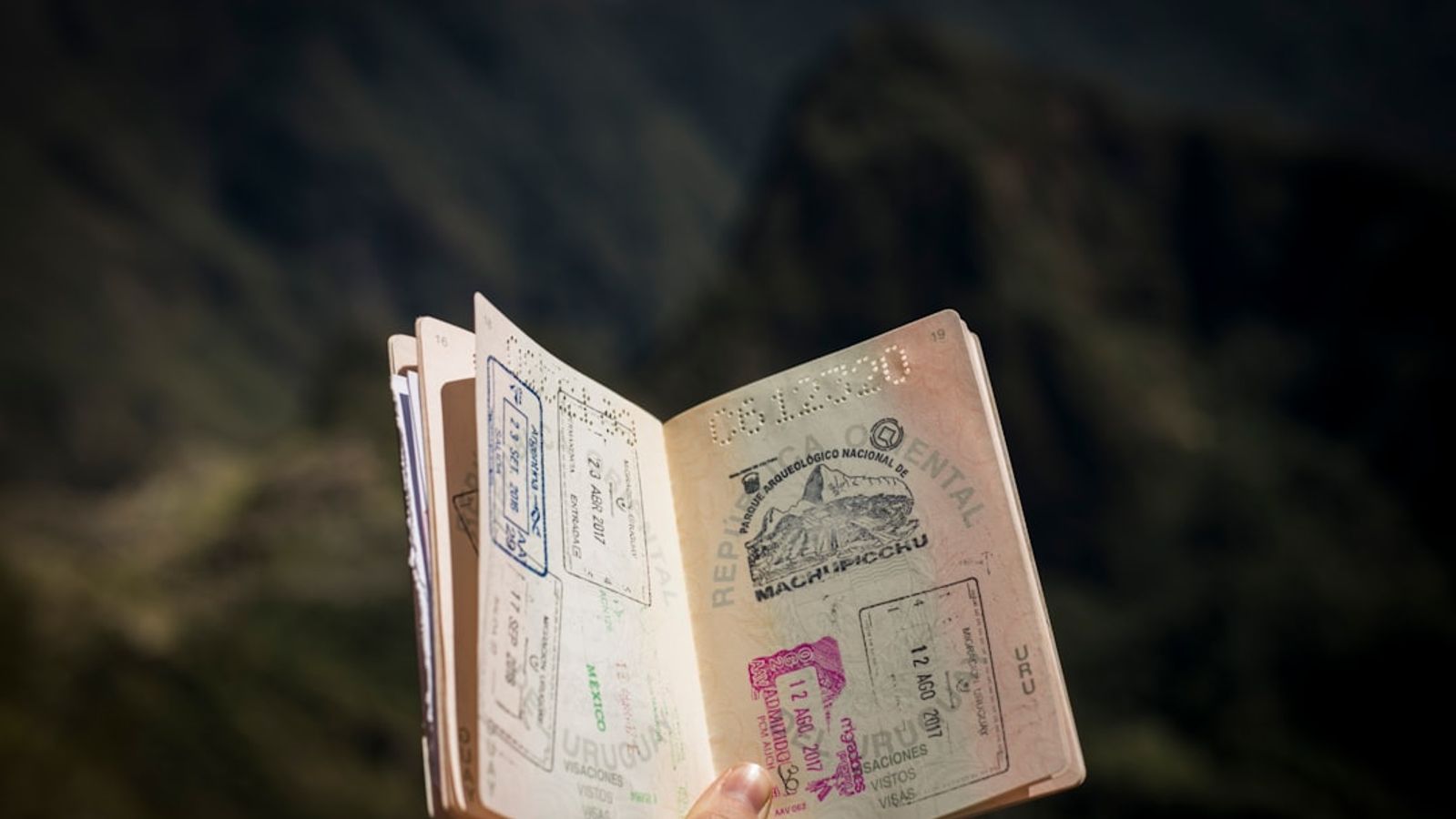 Flight Deals: Expert Guide to Airline Price Drops in 2024