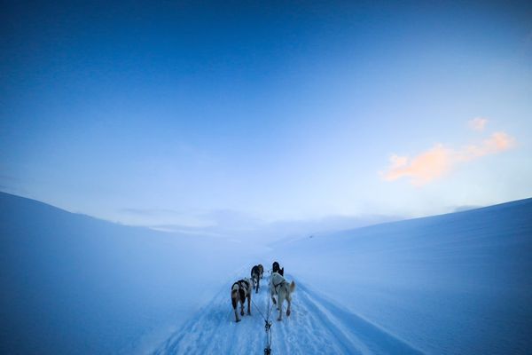 Ultimate Guide: Digital Nomad Rail Passes Across 8 Asian Countries