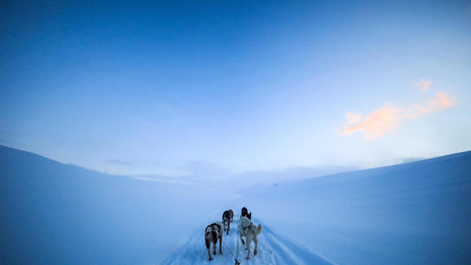 Ultimate Guide: Digital Nomad Rail Passes Across 8 Asian Countries