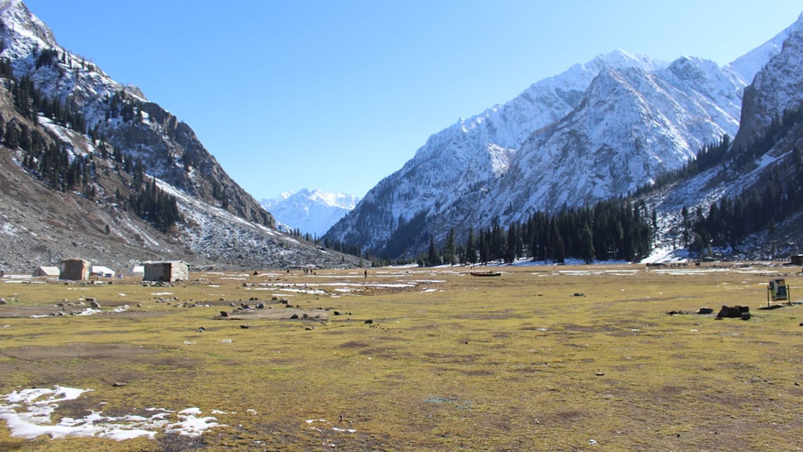 Ship or Fly? Ultimate Cost Guide for Oversized Baggage (2024)