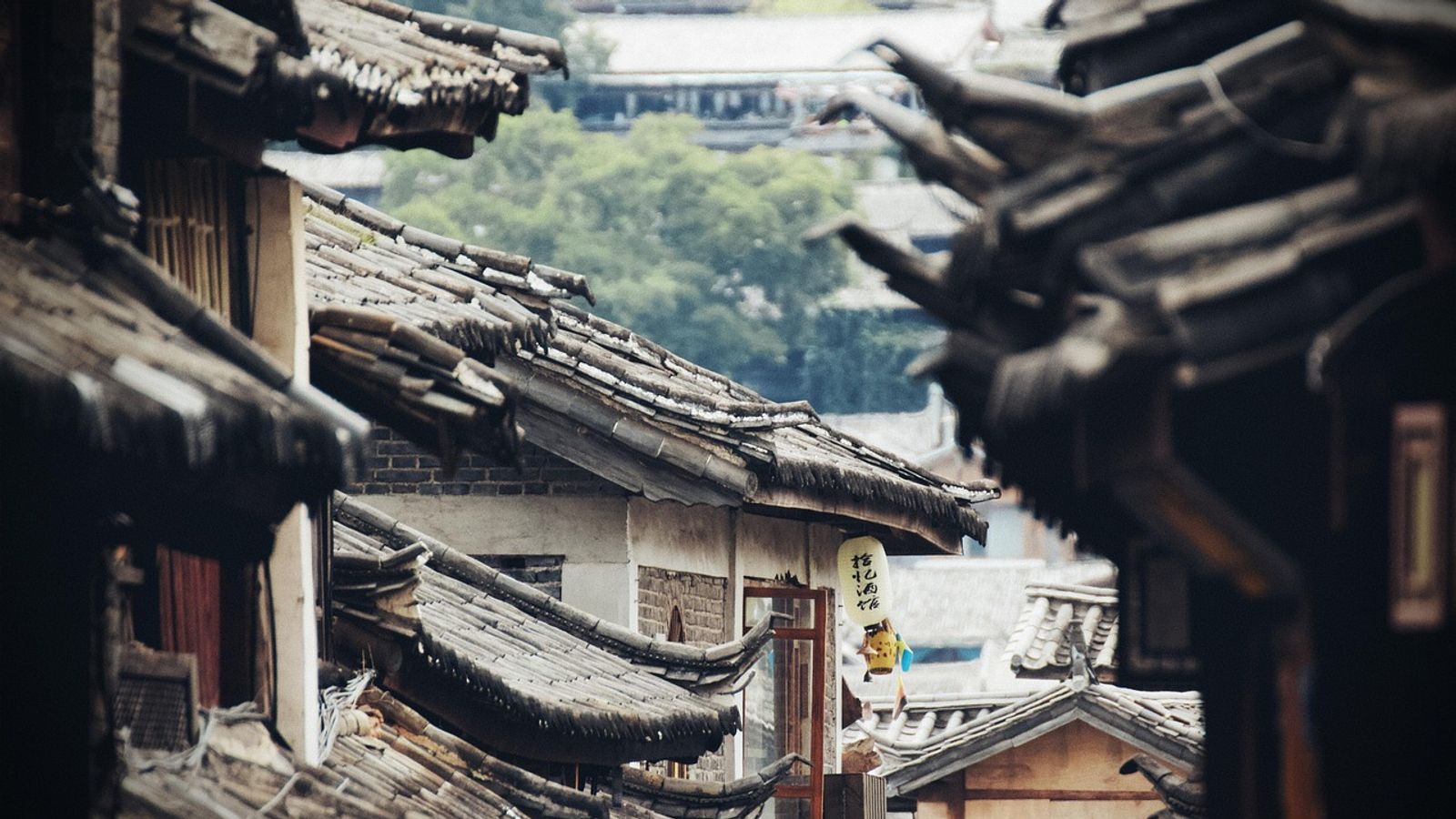 Ultimate Guide: Digital Nomad Rail Passes Across 8 Asian Countries